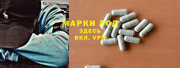 ГАЛЛЮЦИНОГЕННЫЕ ГРИБЫ Абаза