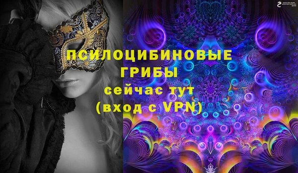 амф Абинск