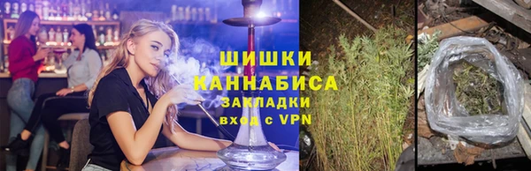 ГАЛЛЮЦИНОГЕННЫЕ ГРИБЫ Абаза