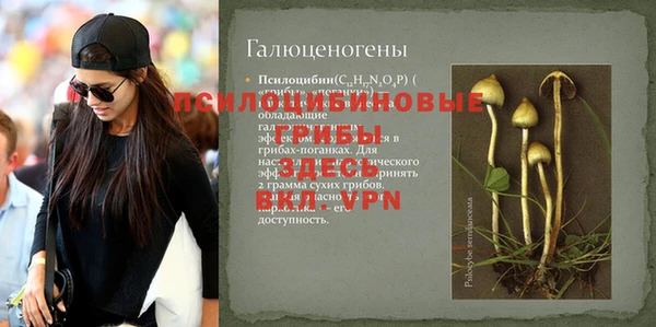 молекула духа Абдулино
