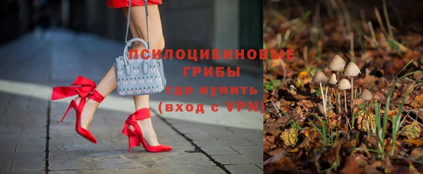 ГАЛЛЮЦИНОГЕННЫЕ ГРИБЫ Абаза